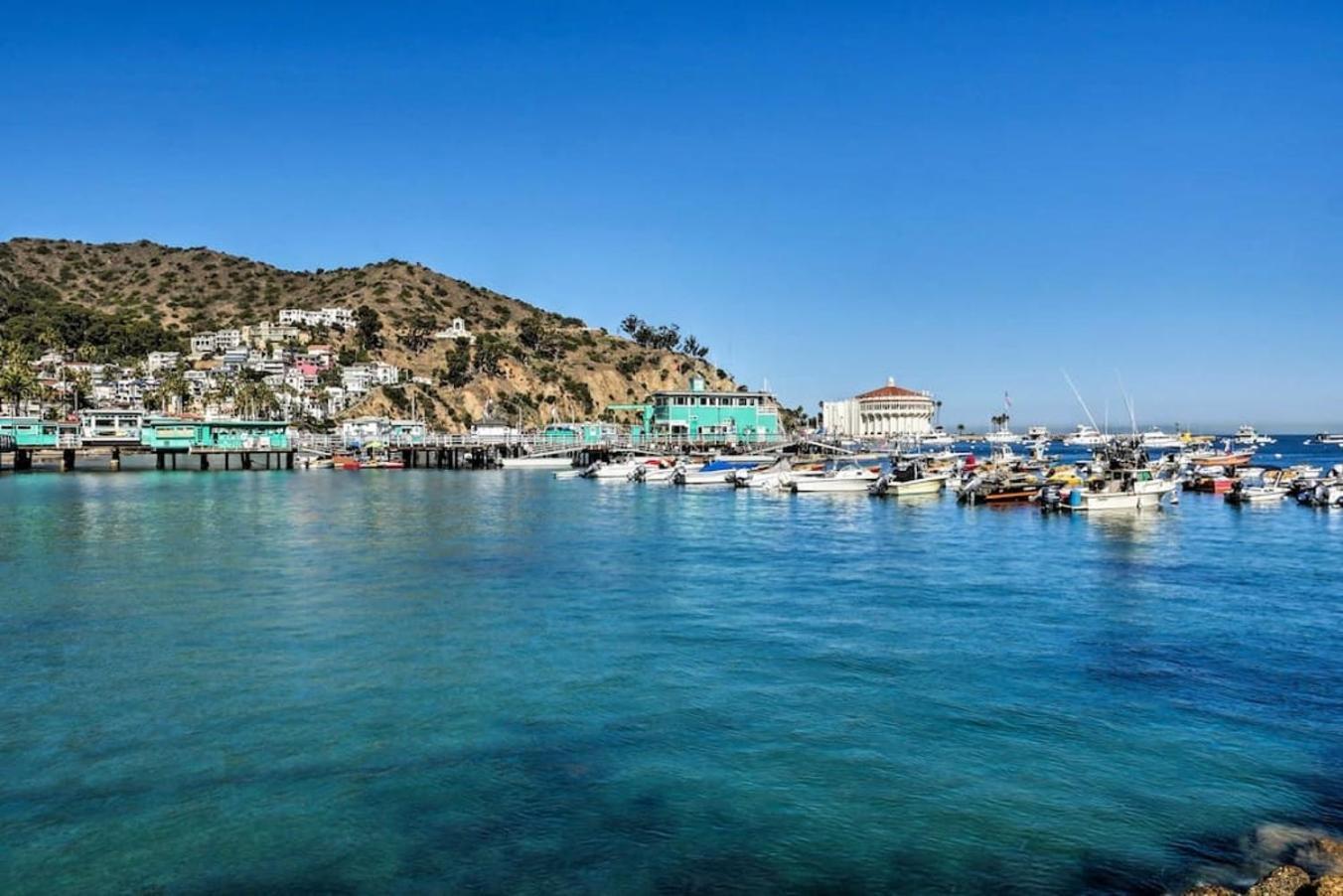 Lux Oceanfront Villa With Breathtaking Views Avalon Ngoại thất bức ảnh